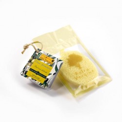 Pad Viso all'olio d'oliva