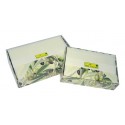 Biglietti Singoli cm 8,5X13 e buste foderate- Scatola 10/10