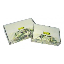Biglietti doppi cm 11,5X17 e buste foderate-Scatola 10/10