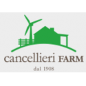 Manufacturer - Cancellieri augusto