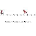 Manufacturer - Marchesana soc. cooperativa agricola