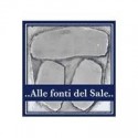 Manufacturer - Alle fonti del sale